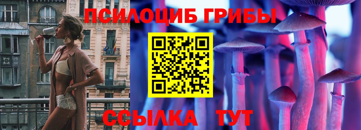 Псилоцибиновые грибы Cubensis  Псилоцибиновые грибы мицелий  как найти   Вход с VPN  Тула 